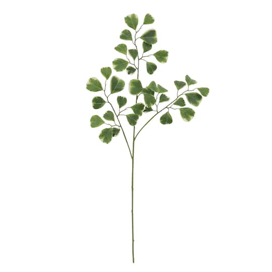 Green Ficus Stem by Ashland&#xAE;